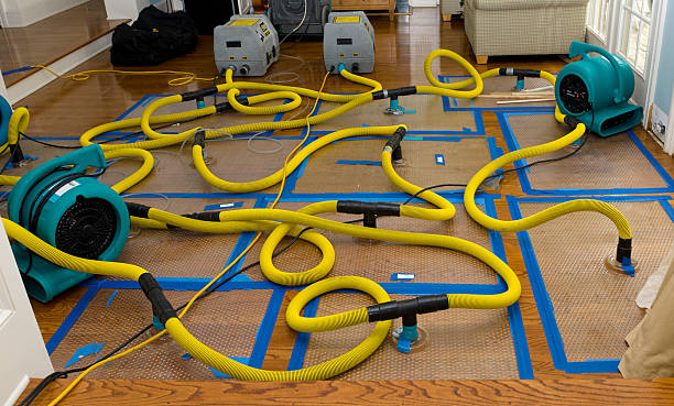 Professional Sewage Cleanup technician working in Homeland, CA